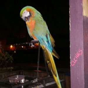 Meet your Posher, Jack